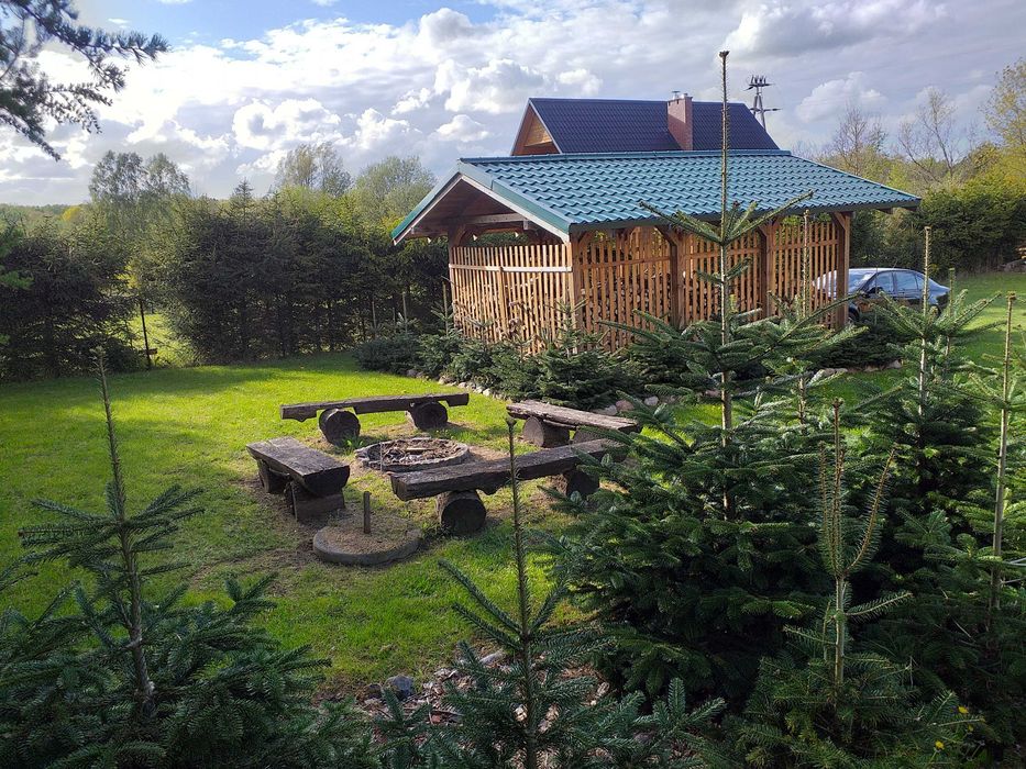 Domek letniskowy Salino, Kaszuby
