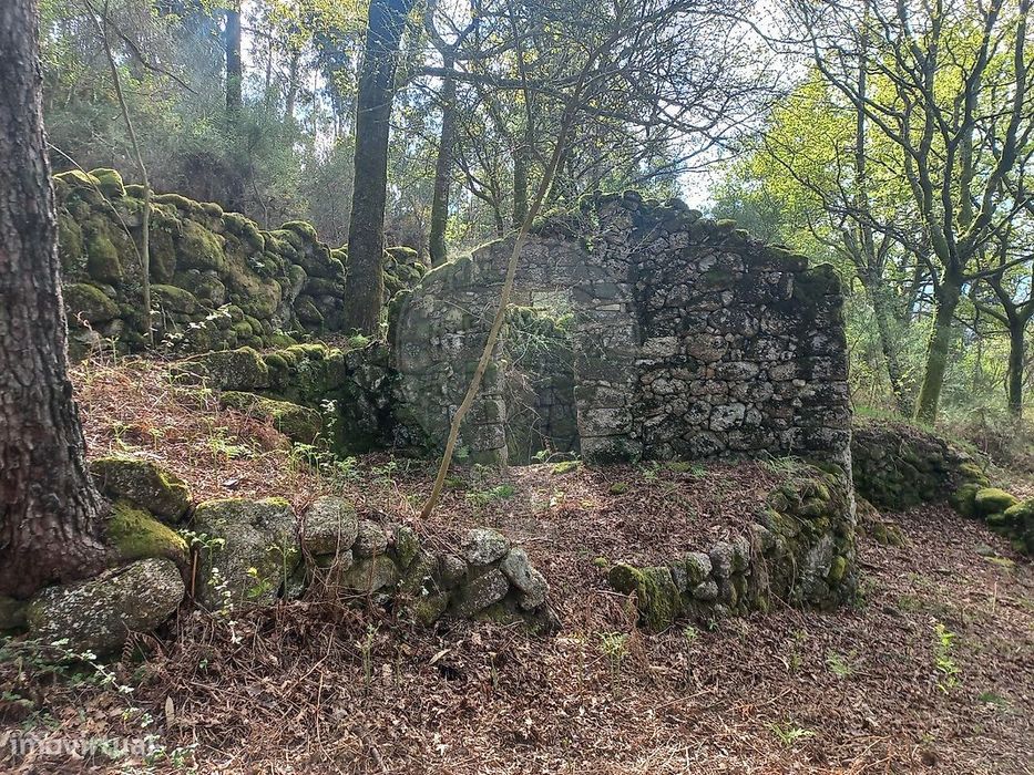 Terreno  para venda