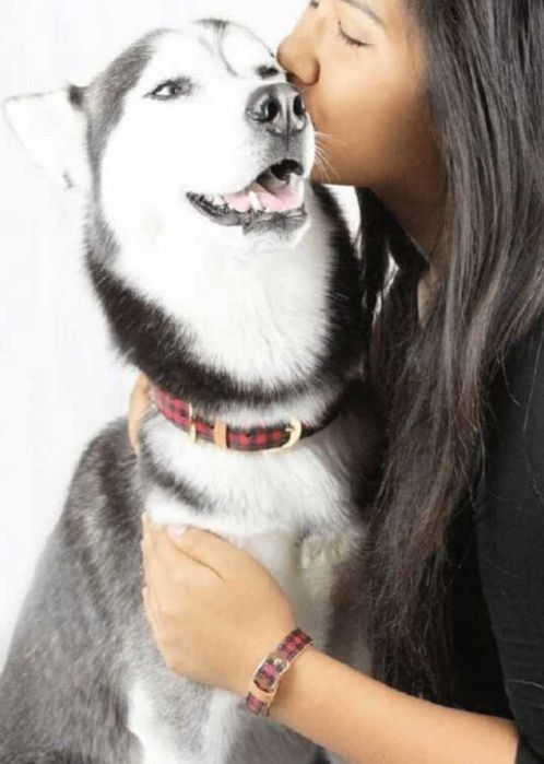 Нашийник і браслет FriendshipCollar