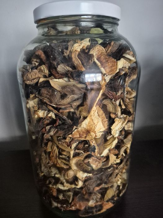 Grzybki suszone 2025