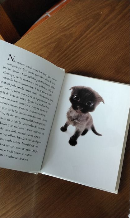 Livro Queridos gatinhos