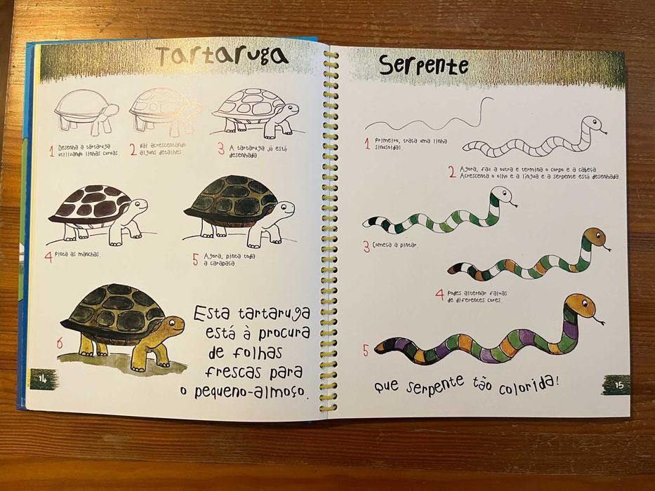 Livro Didático "Aprendo a Desenhar"