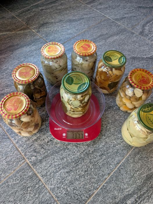 Продам мариновані голубінки та опеньки