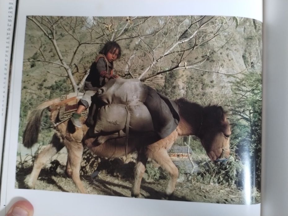 Lang Tang Un Valle en El Cielo