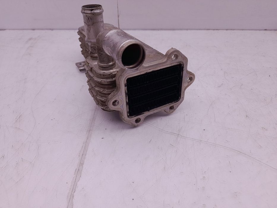 Radiador de gases / EGR VOLKSWAGEN Golf V (1K1)