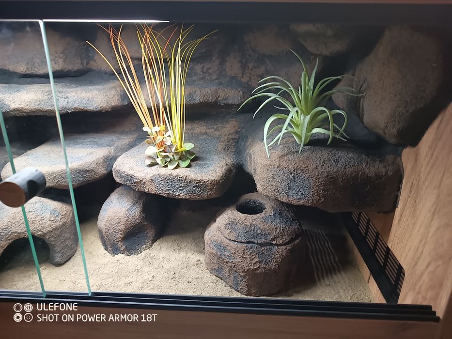 Terrarium 80x40x40