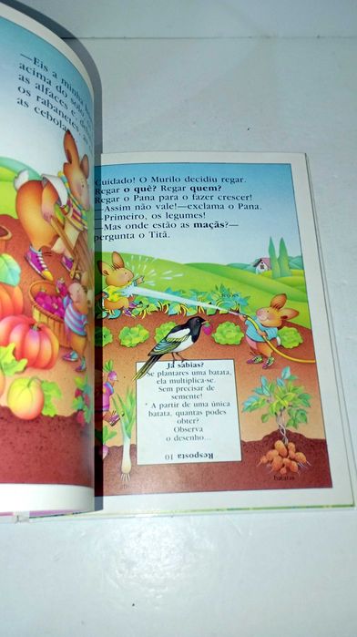 Os Coelhinhos...  descobrem a horta
