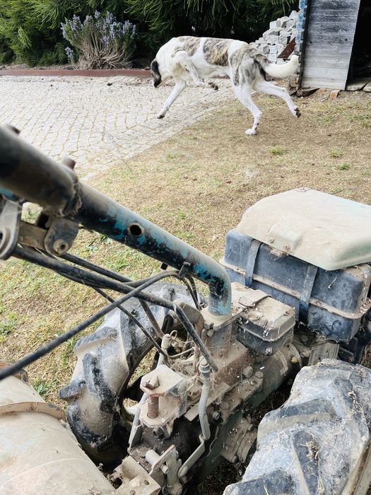 Trator Agrícola Motocultivador Bertolini 406