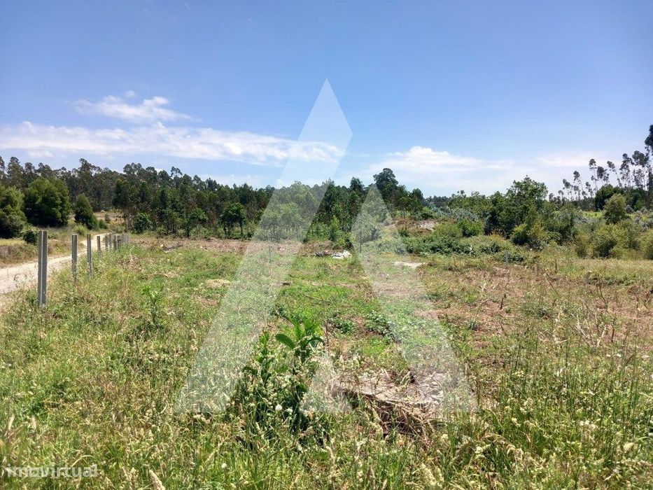 Terreno rústico em Válega - Avanca