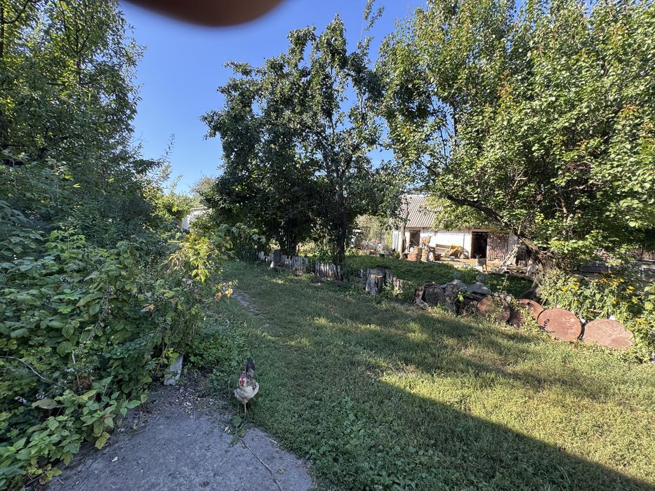 Продам будинок + земля/ присадиба/Гребінки