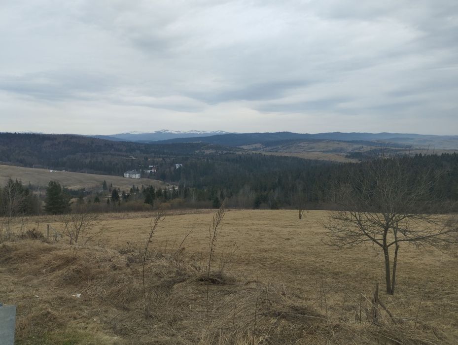 Ділянка у курортній зоні Карпат 80 сот.Обмін