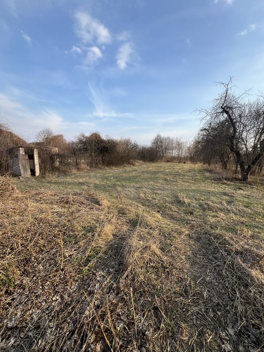 Продам будинок з ділянкою, садом,  в селі недалеко від Чернігів