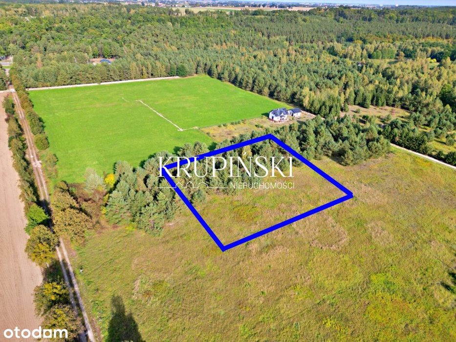 Piękna działka w Zamku Bierzgłowskim! - Widok 2