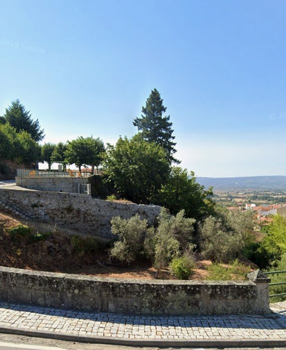 Terreno rústico com oliveiras