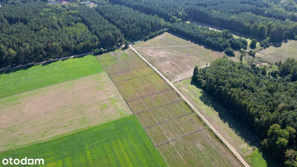Działki budowlane niedaleko Wyszkowa, z WZ przy lesie - Widok 3
