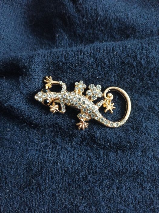 piękna broszka jaszczurka