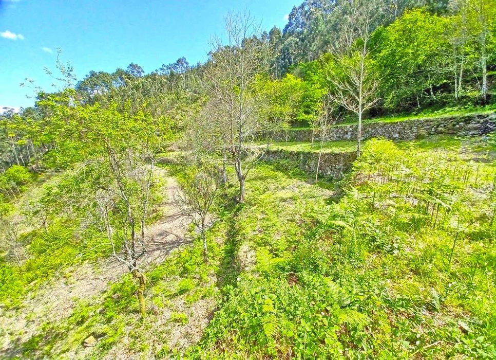 Quinta no Douro para Turismo Rural