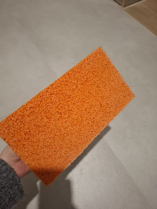 Paca z gąbką comensal