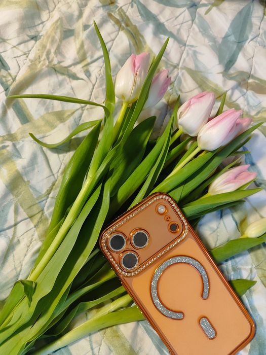 iPhone 17pro pro max 256