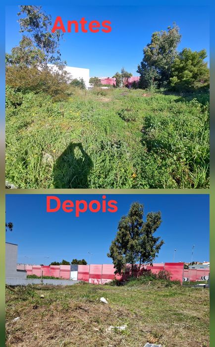 Limpeza de Terrenos e Jardinagem