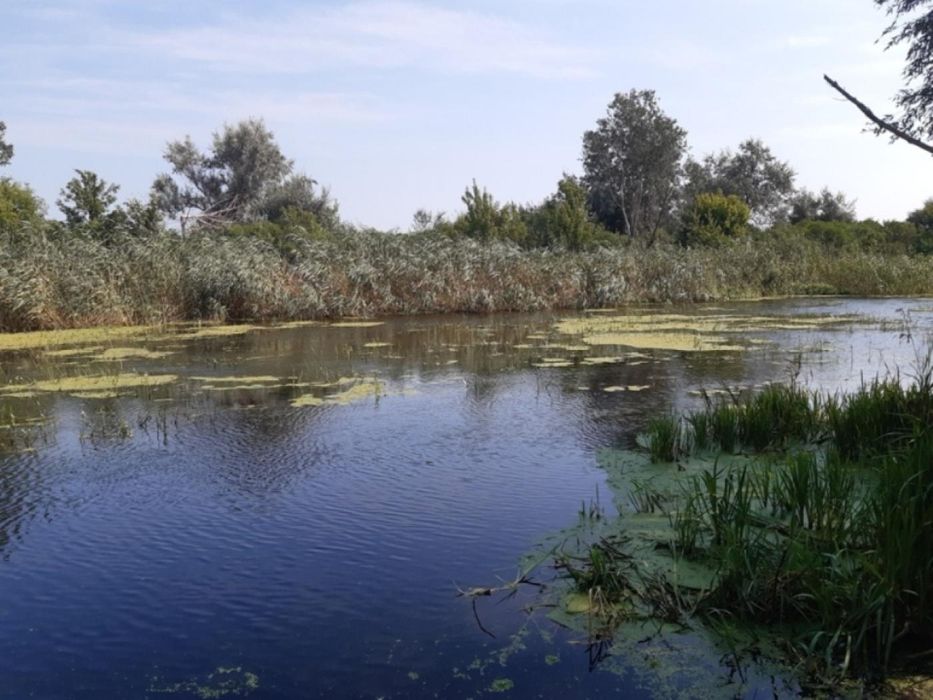 Продам 25c.  берег Орели с. Елизаветовка