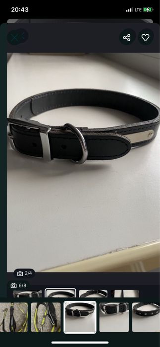 Шлеі для собак + нашийник