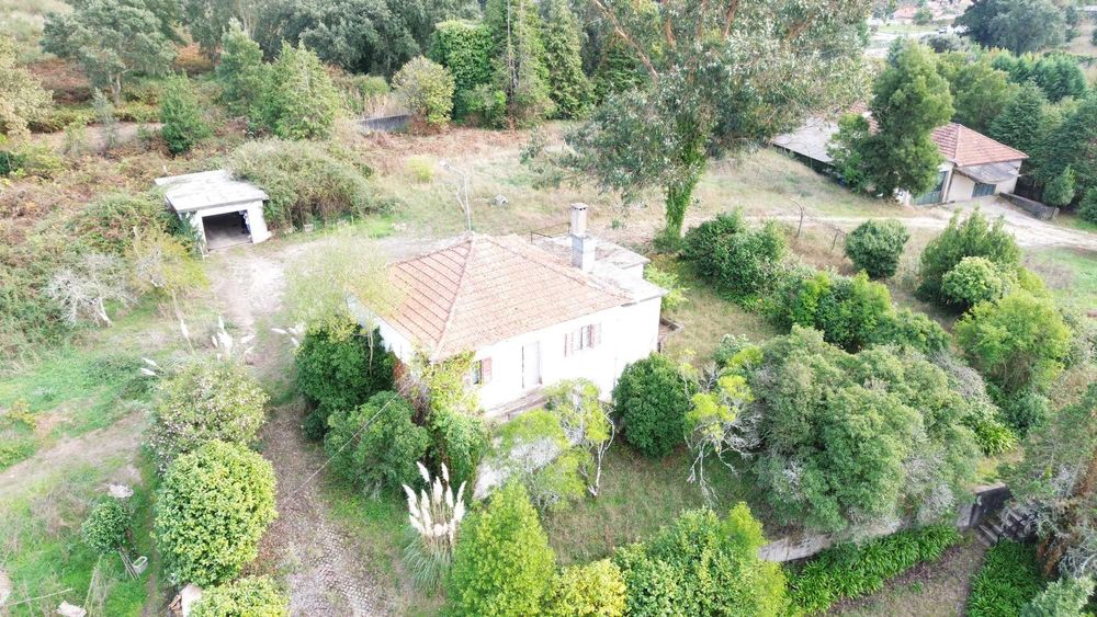 Quinta Santo Tirso