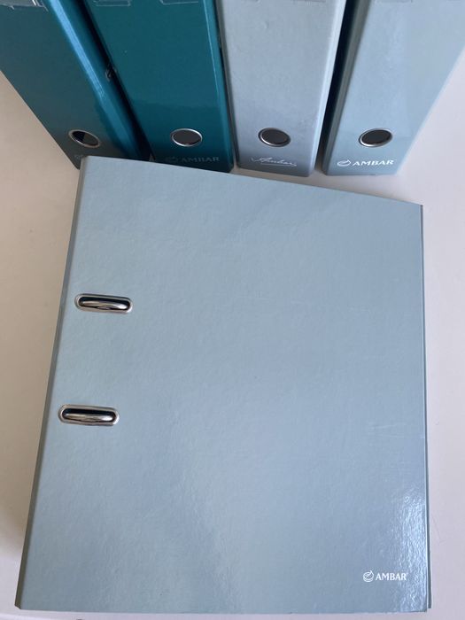 Lote 6 Pastas de arquivo Ambar