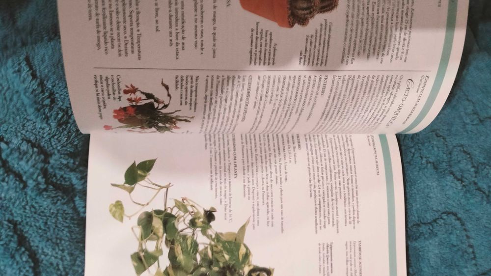 Grande livro guia das plantas