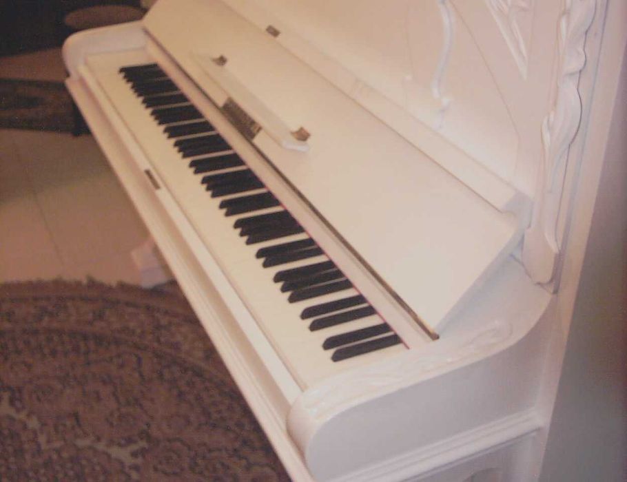 Afinador pianos , arranjo e venda.