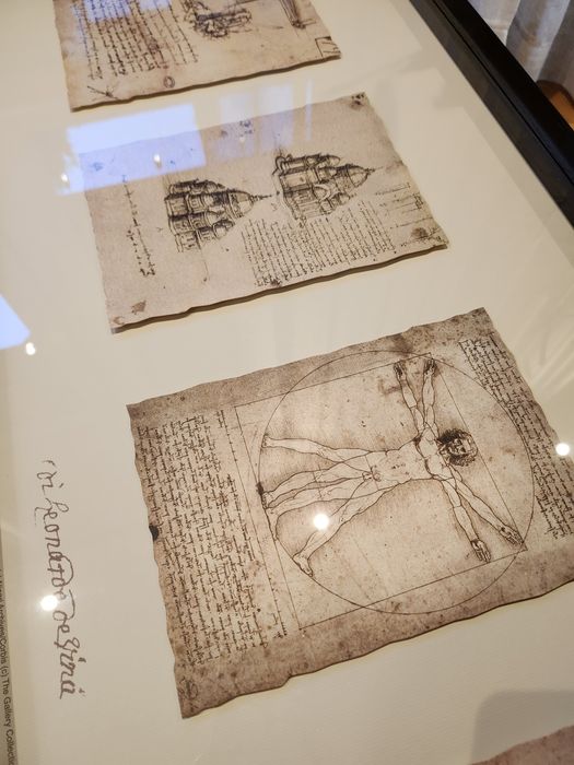 Ikea Olunda obraz Leonardo da Vinci