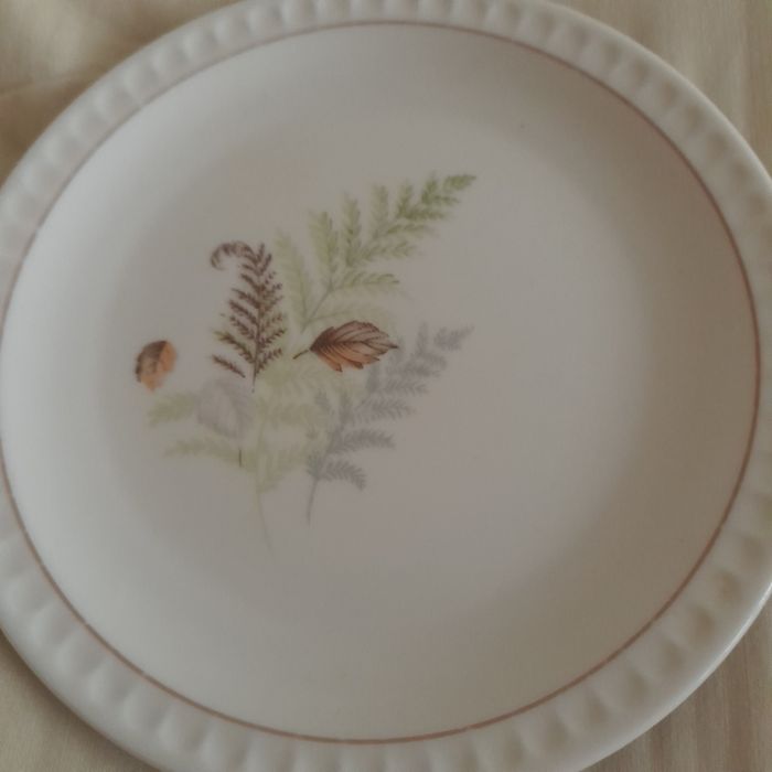 Cheerful View Plates456899473316270080