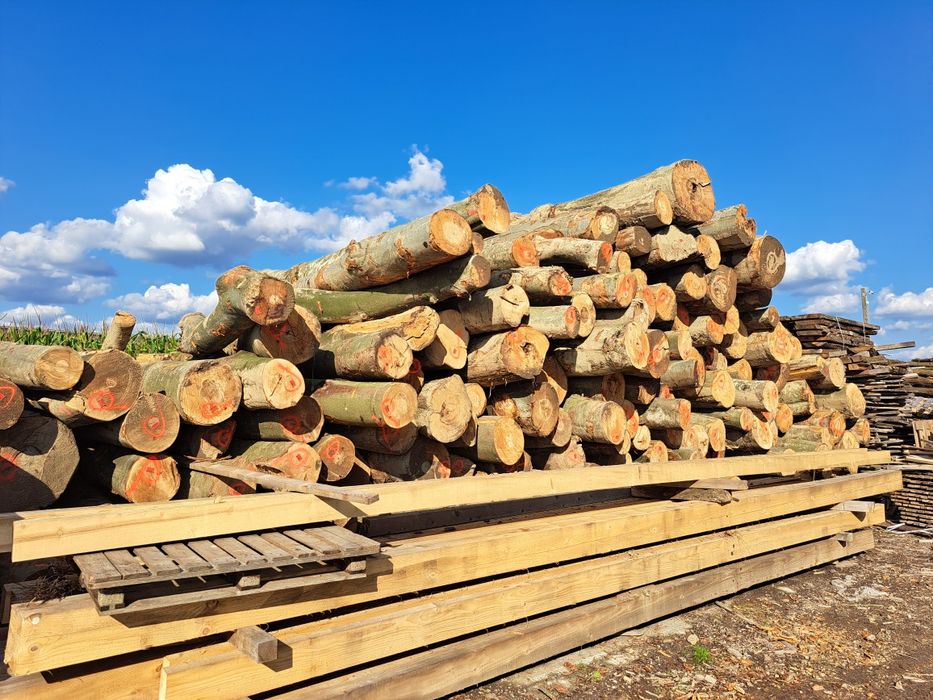 Drewno bukowe opałowe kominkowe