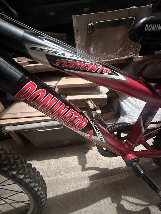 Велосипед Dominator 20