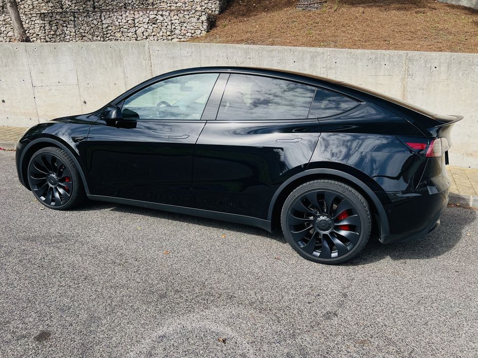 Tesla Y Performance