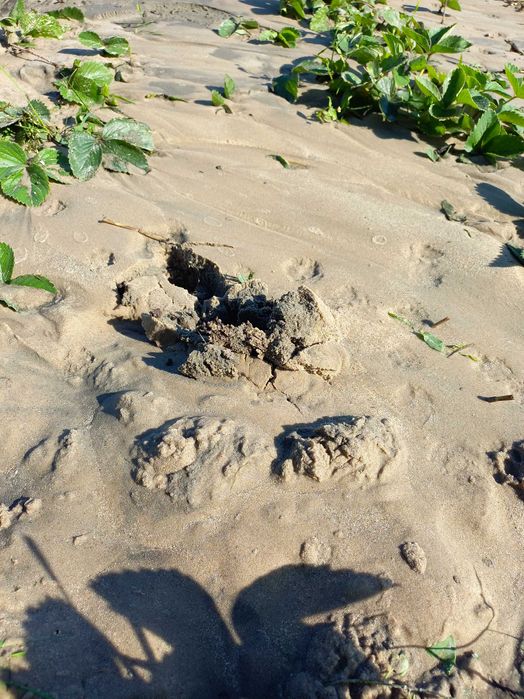 Міні земснаряд для очистки озера ,річок ,копанок.: 90 000 грн. - Інше ...