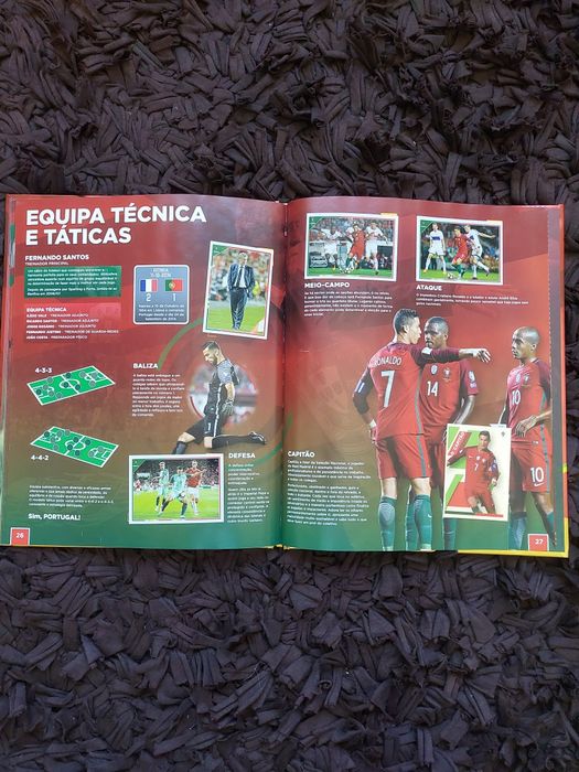 Caderneta fome de vençer (edição de luxo) completa