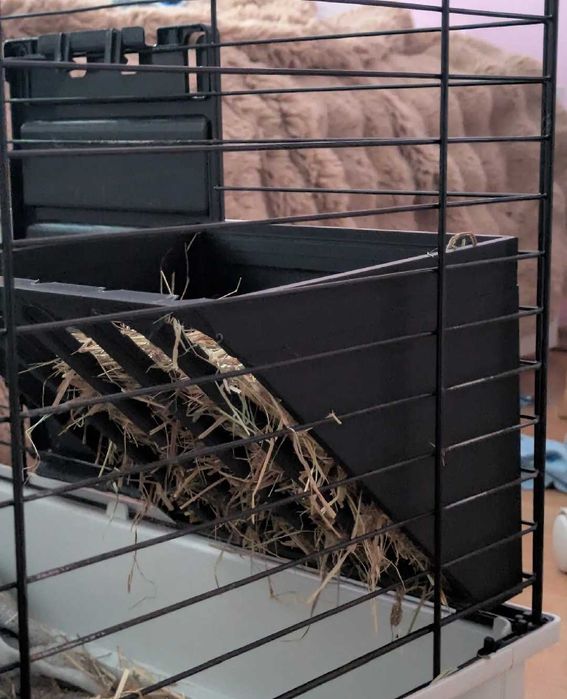 Paśnik na siano dla królika