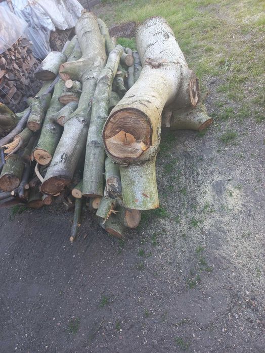 drewno z orzecha włoskiego ,orzechowe 2 m3 grube