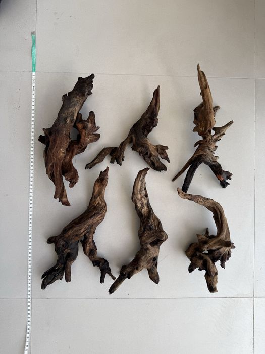 Drift wood aquario