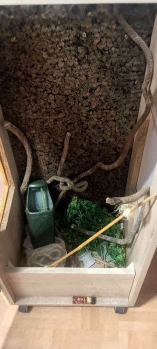 Terrarium  dla zwierząt