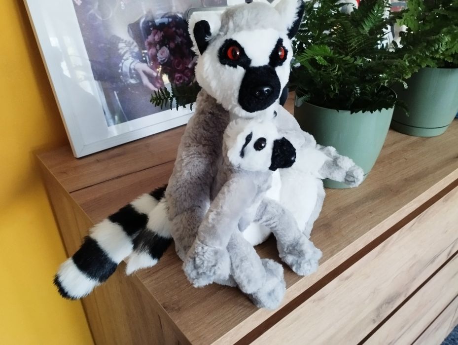 Pluszak lemur 26 cm.