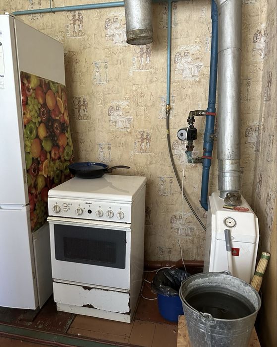 Продам дом в Орловщине с приватной  землей !