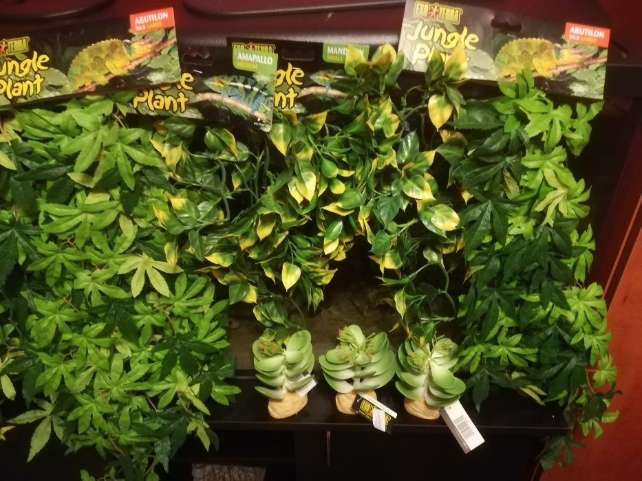 TERRARIUM rośliny Exoterra nowe terarium