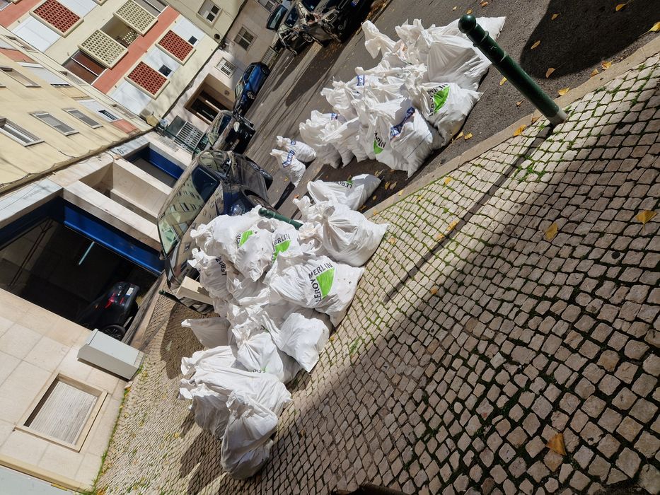 Recolha de entulho e Mudancas