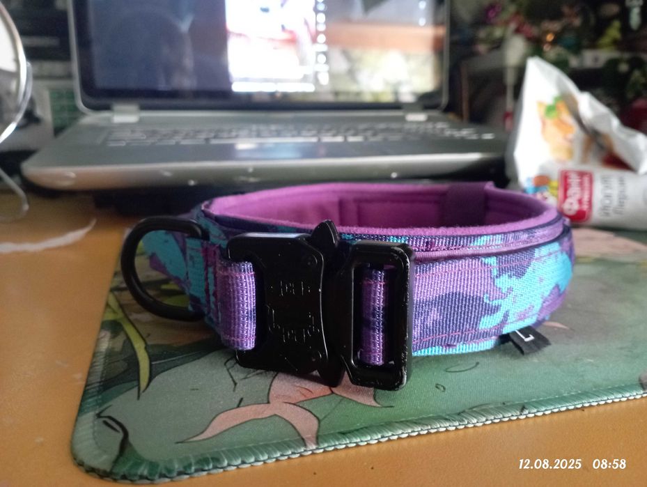 Віддаю нашийник, БУ.