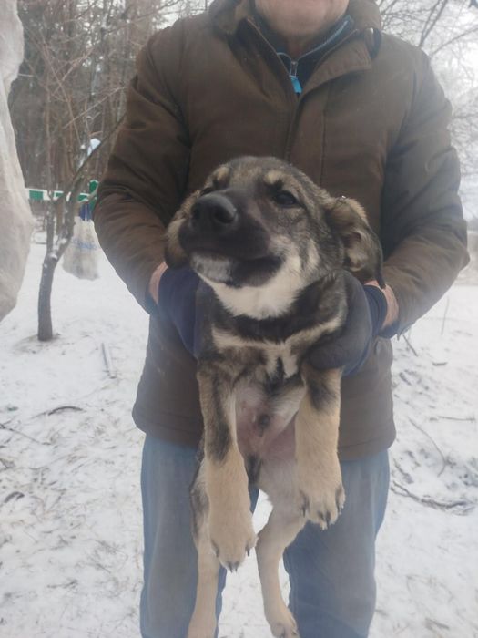 4 хлопчика і дві дівчинки терміново шукають дім