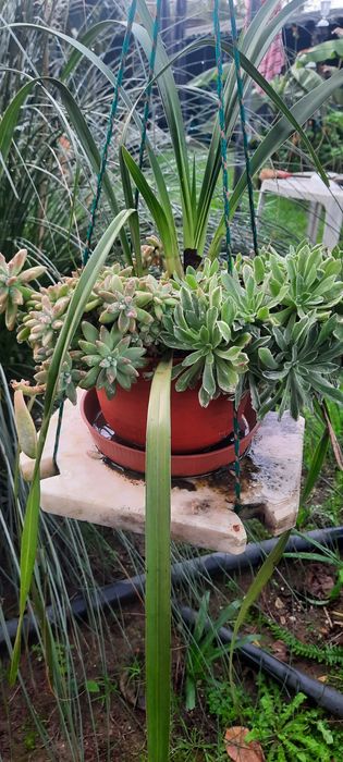 Decoração de jardim