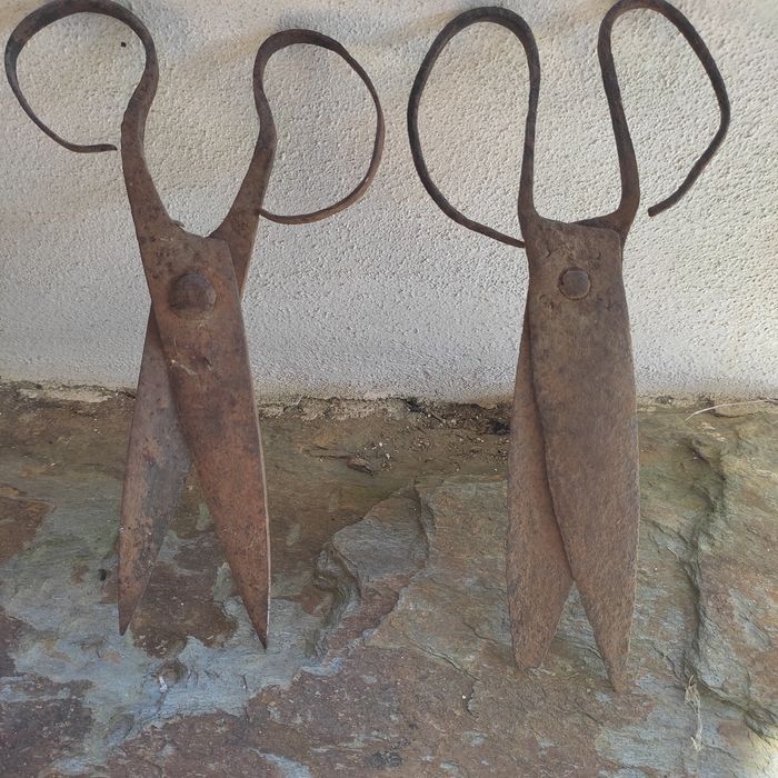 Set of Antique Scissors447112015690475521