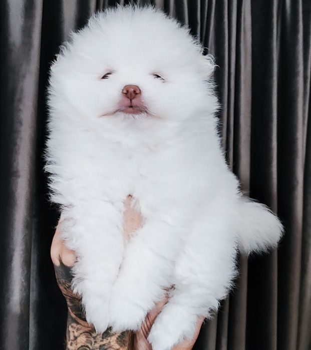 Дівчинка  та маю братика